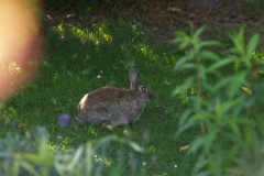 2011_08_B07_Bild10-1024x768-1